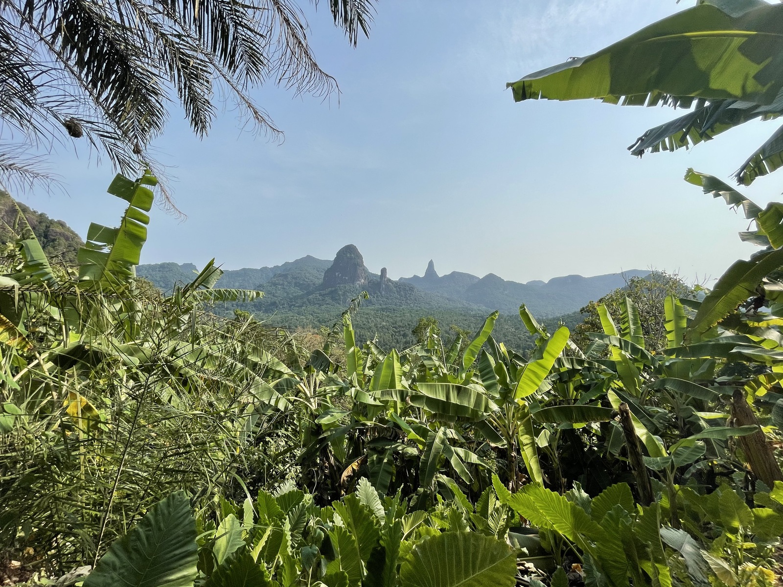 African Landscape