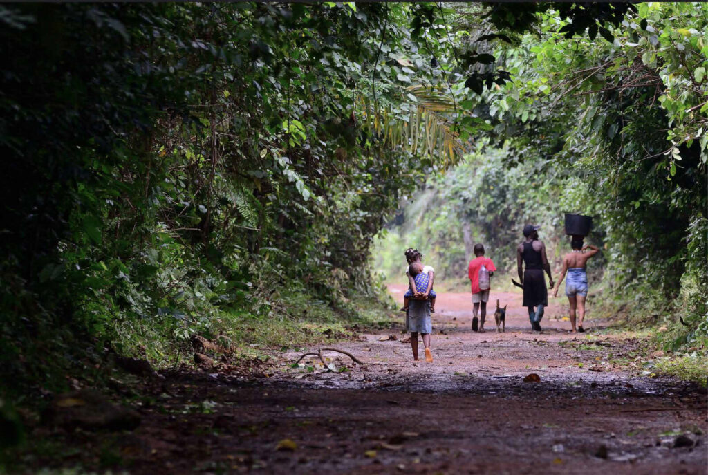 Contabilização do Stock de Carbono da Floresta em pé da Ilha do Príncipe